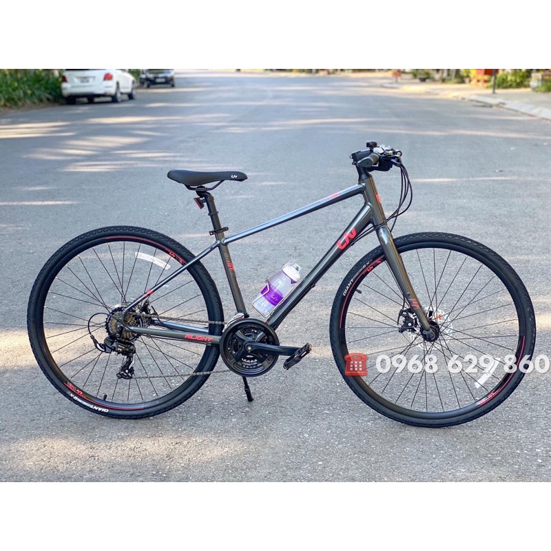 Xe đạp nữ Liv Alight 2 2021 | Màu ghi