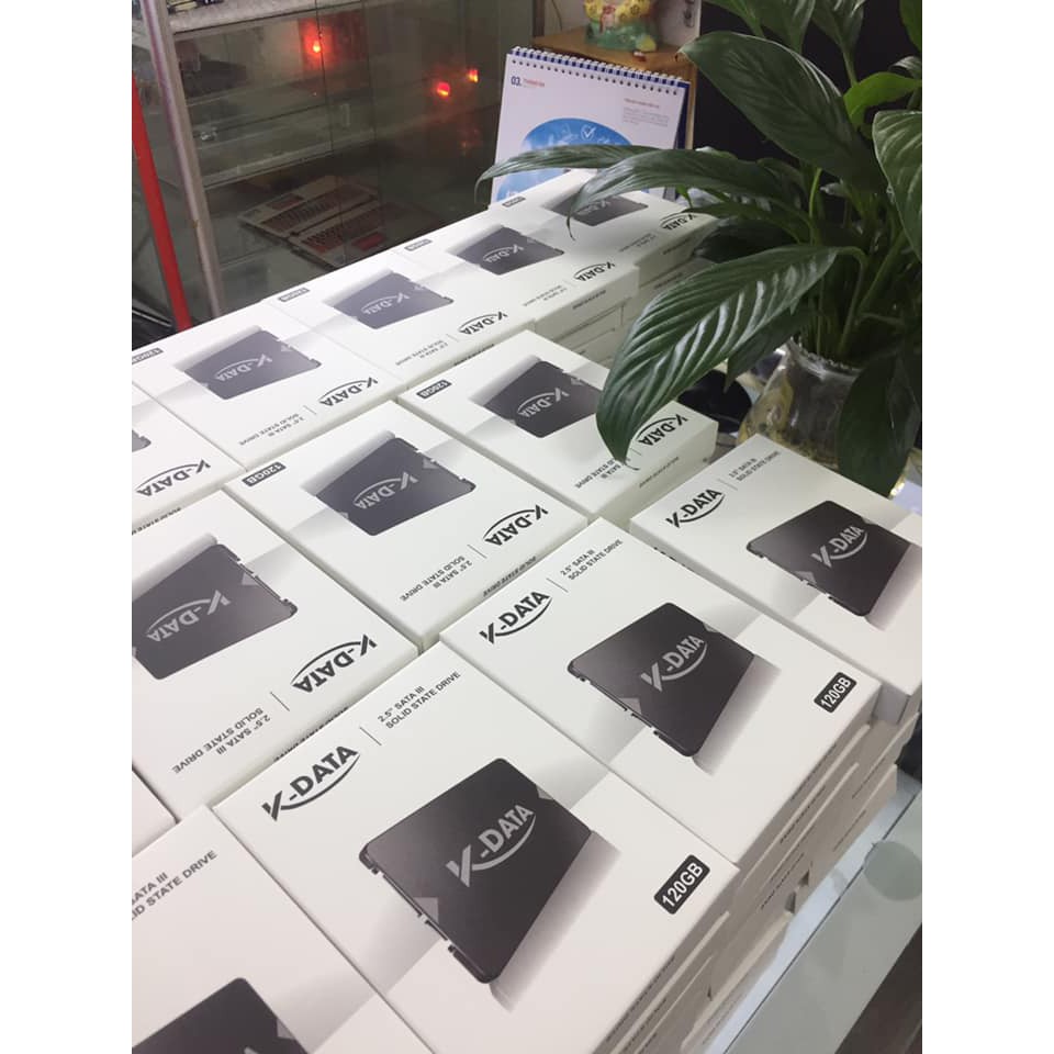Ổ CỨNG SSD K-DATA 120G - CHÍNH HÃNG | BigBuy360 - bigbuy360.vn