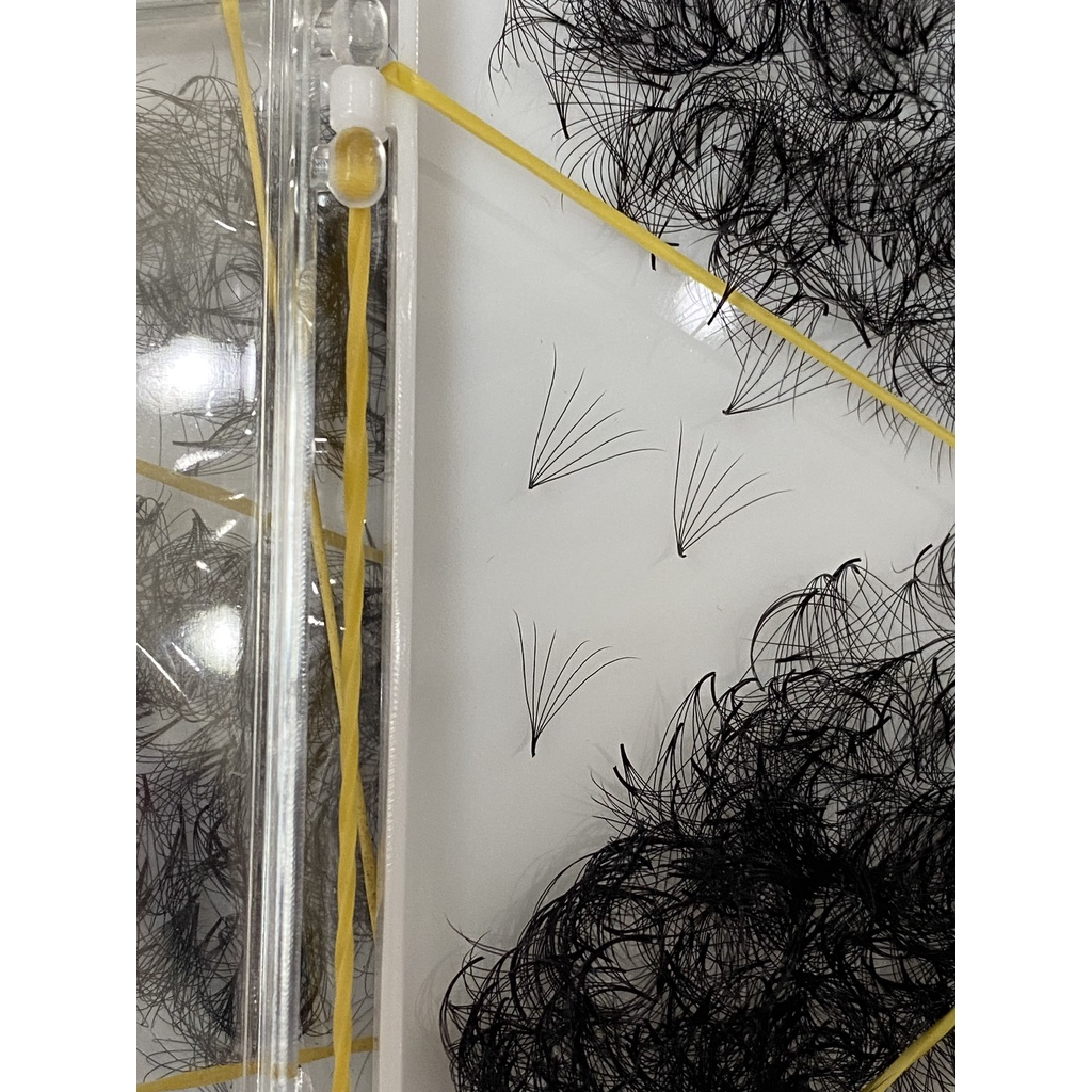 mi fan 8d HỘP 500 FAN ĐỘ CONG C-CC-D DÀY 0,05 DỤNG CỤ NỐI MI -thuý hà