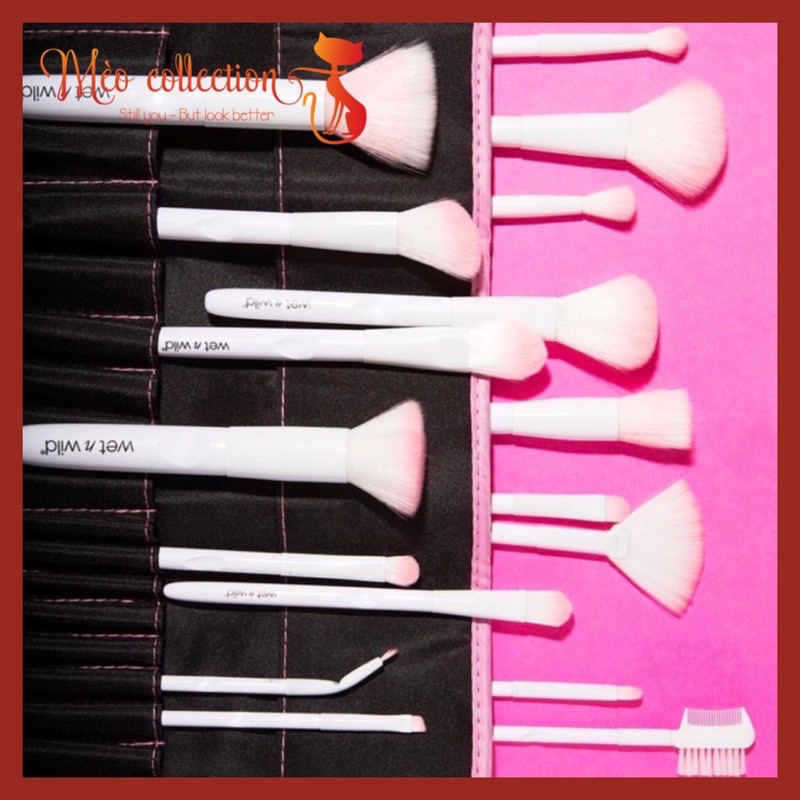 Cọ Wet n Wild Brush Roll 17 Piece Collection