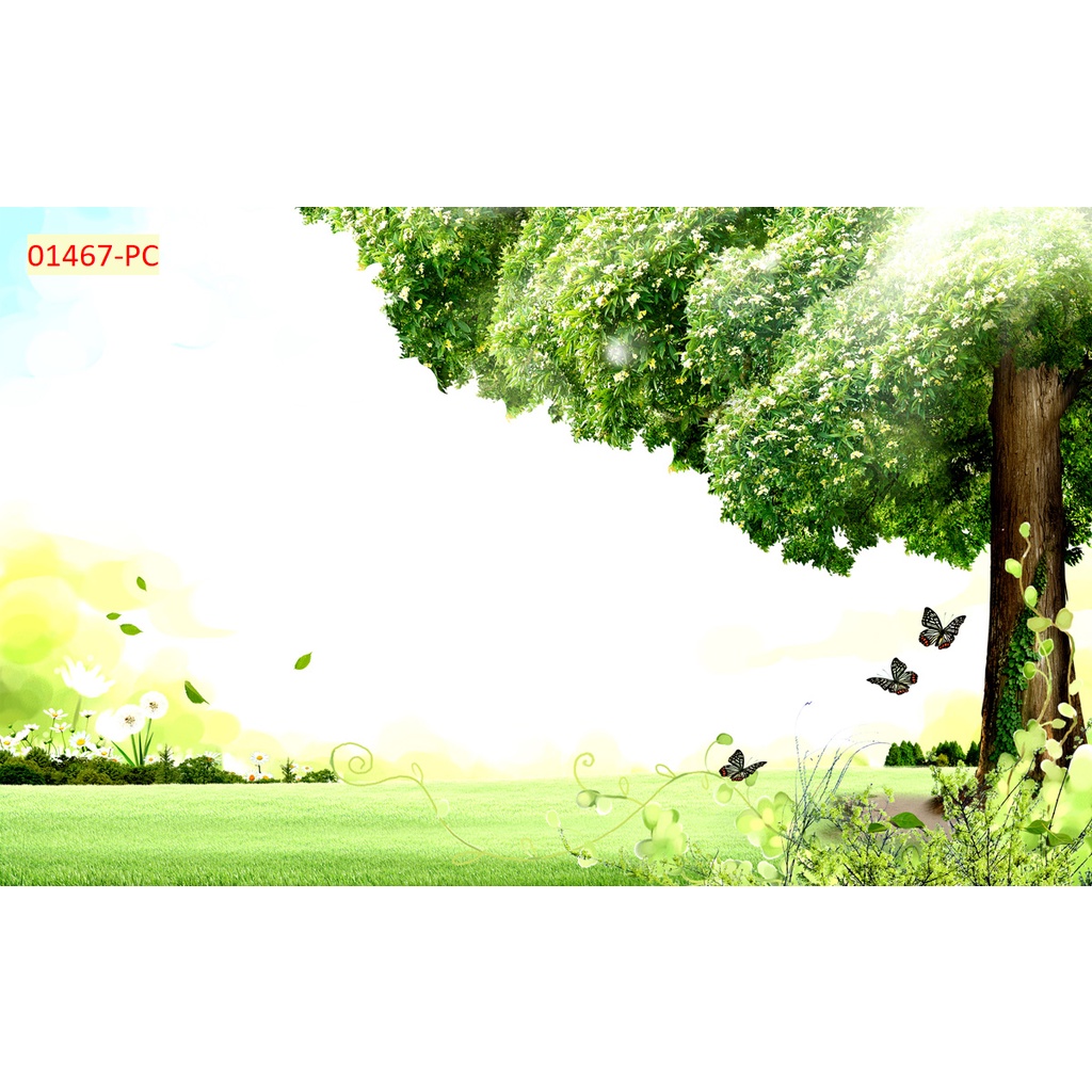 Tranh dán tường thiên nhiêu trong lành tặng kèm phụ kiện