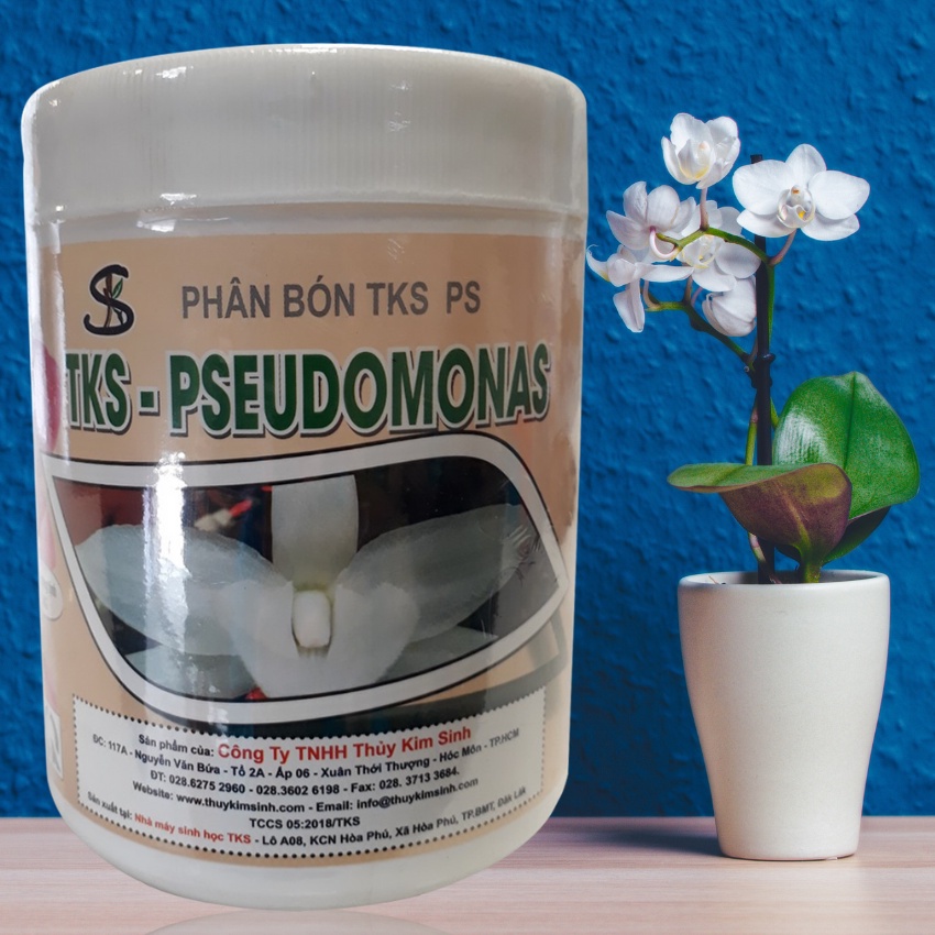 PSEUOMONAS - Chế Phẩm Trừ Nấm Bệnh Hoa Lan - Lon 1kg