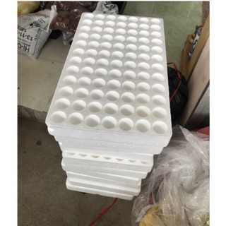 Khay xốp ươm hạt- Khay 84 lỗ