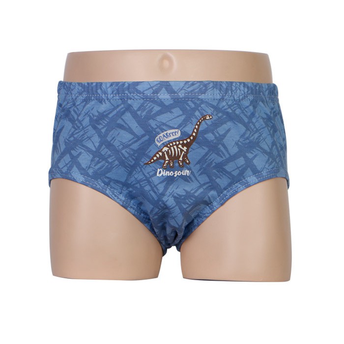 Hộp 5 quần lót bé trai Hàn Quốc 100% cotton mẫu Máy Bay-Khủng Long