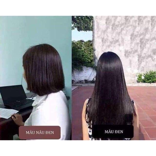 (Sale 25%) Dầu gội phủ bạc tóc thảo dược Lich5 (hộp 10 gói+10 găng tay) | BigBuy360 - bigbuy360.vn