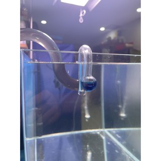 Bộ test co2 thủy sinh