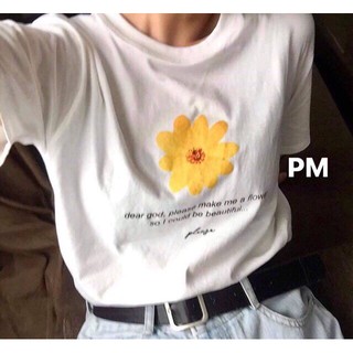 🏵 Áo Thun Tay Lỡ Hoa Cúc Trắng