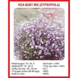 Hạt giống hoa baby trắng hồng mix màu - 100 hạt (TẶNG gói kích thích hỗ trợ hạt nảy mầm)