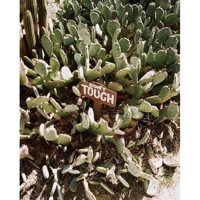 MÁY FILM PNS KONICA C35 AF