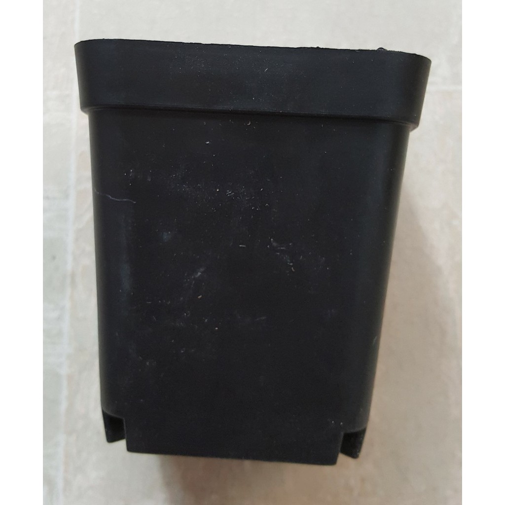 Chậu vuông 5x5 đen