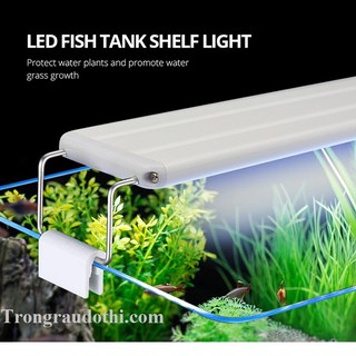 Đèn led máng K500 cho bể 50-60cm