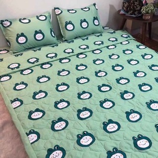 Chăn Hè Trần Bông 3 Lớp Vải Cotton Poly Mẫu ẾCH XANH