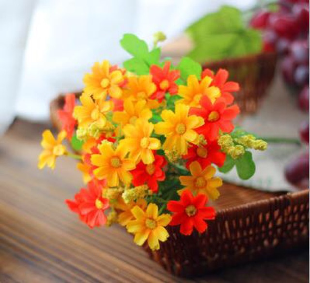 Hoa lụa - Hoa Cúc Én sắc màu trang trí nhà đẹp