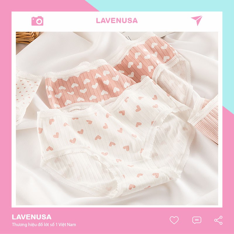 Quần lót nữ cute dễ thương cotton kháng khuẩn siêu đẹp QL08