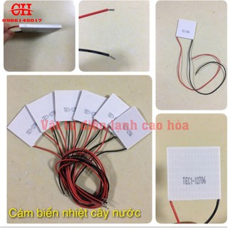 Cảm biến nhiệt cây nước