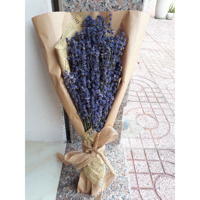 Bó hoa khô hoa lavender tặng kèm túi thơm.aqa