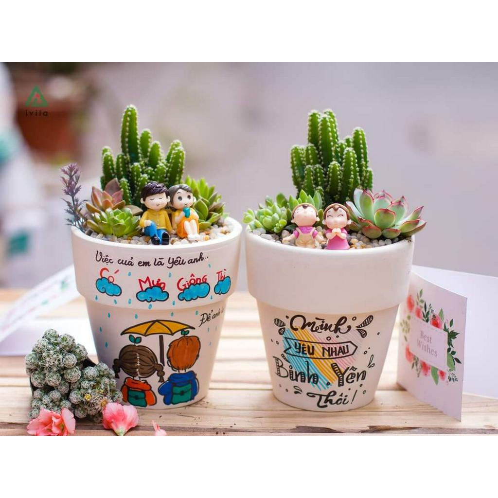 Sen đá RUBY Cánh Ngắn Full Size đã thuần khí hậu, sen đá vỉ size mini để bàn, Siêu khỏe, trang trí decor phòng