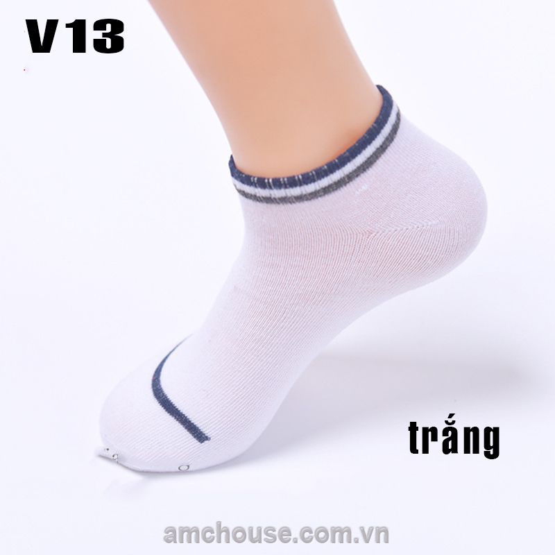 Tất nam, vớ namm cổ thấp mũi sọc V13