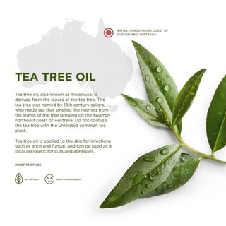 Tinh dầu tràm trà 10ml (Viện nông nghiệp nhiệt đới IAT)( giá siêu rẻ )