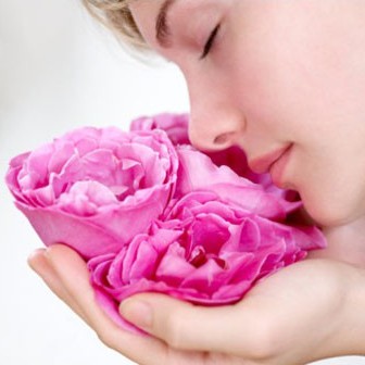 Cánh Hoa Hồng Sấy Khô