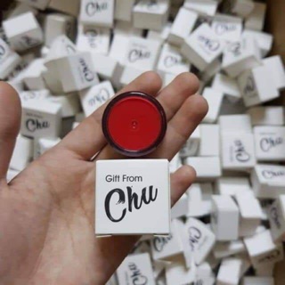 Son cao cấp