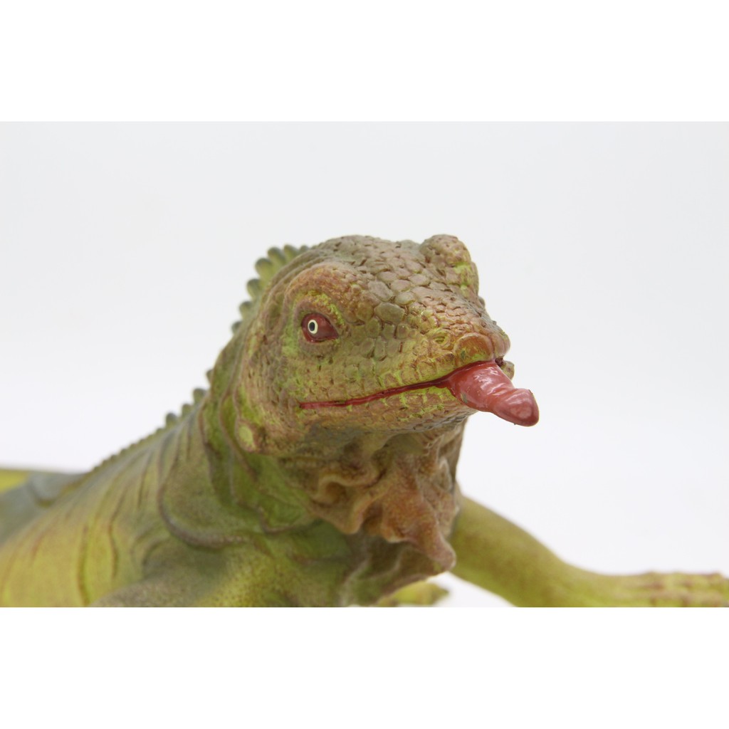 Đồ chơi mô hình động vật cho bé Recur DW330 - hình thằn lằn Iguana - TOYS HOUSE