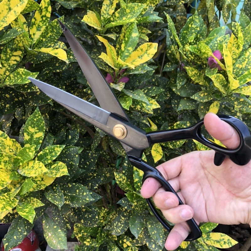 Kéo cắt vải Nhật hiệu YDL chính hãng dài 30cm, rất sắc bén, không rỉ sét