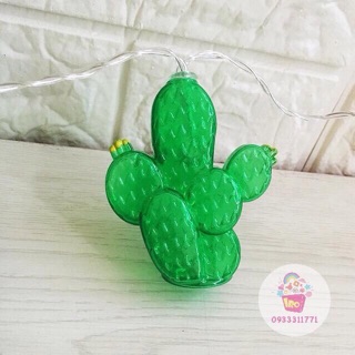 DÂY ĐÈN CACTUS