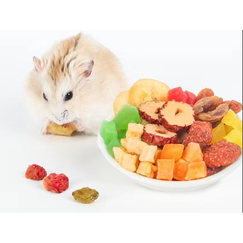 Jonsanty Hoa quả, trái cây sấy hỗn hợp cho Thỏ, bọ ú, hamster , sóc, chinchilla 50g,200g