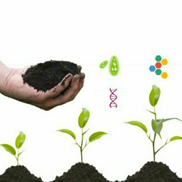 Phân trùn quế nguyên chất hữu cơ bón cây râu củ quả hoa hồng túi 1kg