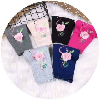 Combo 5 quần legging