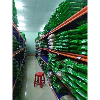 [NHẬP KHẨU CHÍNH NGẠCH] 100gr Sa Sâm