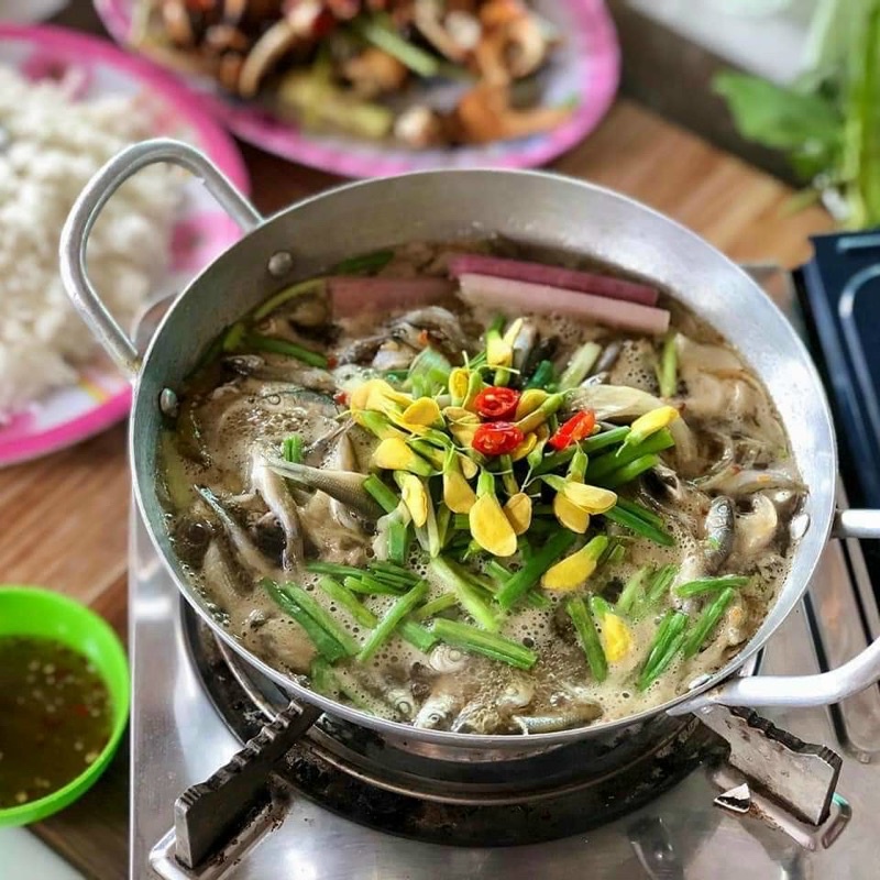 CÁ LINH NON