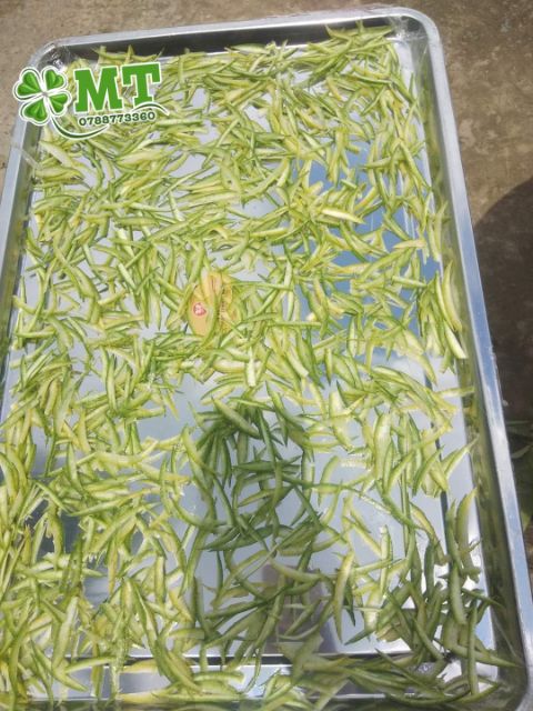 Trà vỏ bưởi Tây Ý 100g