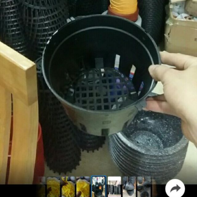 chậu trồng lan phi 18cm mới về