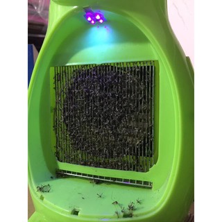 Đèn bắt muỗi hình thú