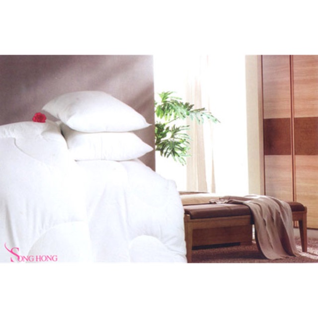 Ruột gối sông hồng (1 đôi) chính hãng