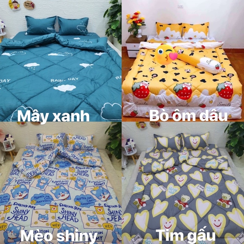 Set Chăn phao ga gối poly