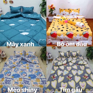 Set Chăn phao ga gối poly