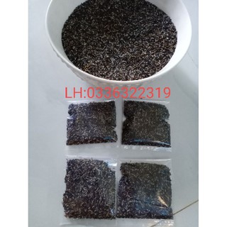 Gói 800 hạt giống đuôi chuột hòa tím(mạch lạc)