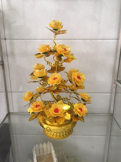 Gốc cây thỏi vàng cao 55cm