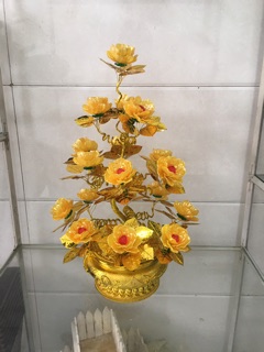 Gốc cây thỏi vàng cao 55cm