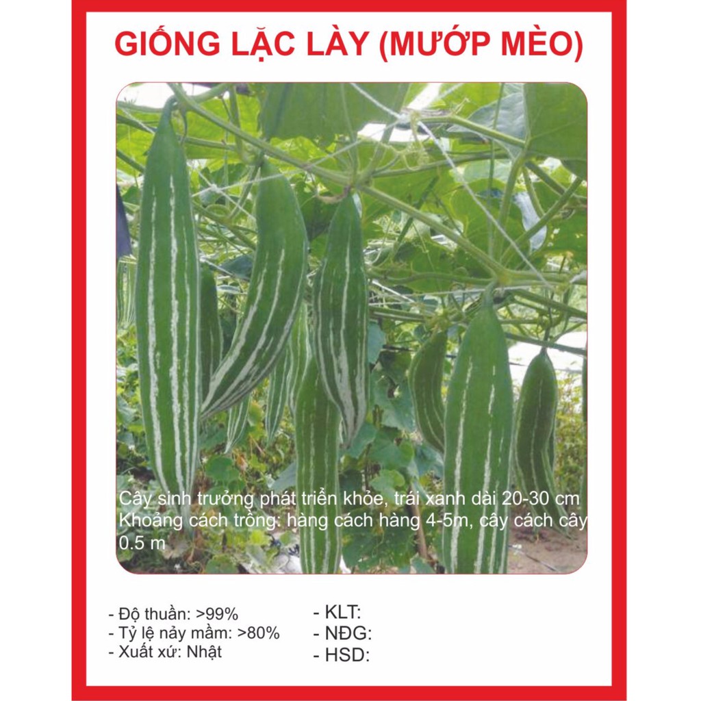 Hạt Giống Lặc Lày (Mướp Nhật) 10 Hạt