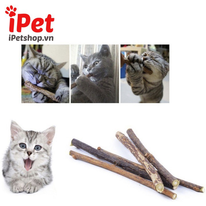 2 Cây Gỗ Catnip Bạc Hà Cho Mèo Gặm Trắng Răng - iPet Shop