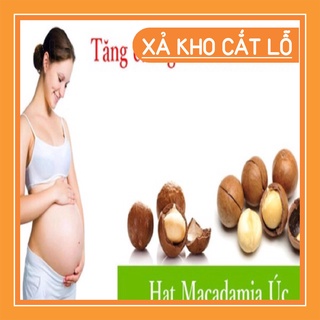 Hạt Mắc Ca tách vỏ Úc 500g - hạt dinh dưỡng tốt cho sức khỏe