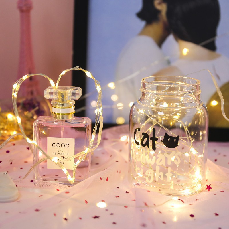 Đèn led dây LICER chống nước trang trí đám cưới/ giáng sinh/ hội tiệc dài 1m/ 2m/ 3m/ 5m/ 10m