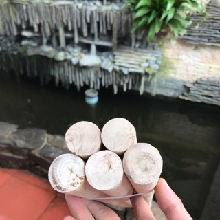 Combo 5 thanh gỗ tròn 3cm , dài 120