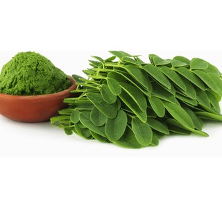 500GR Bột Chùm Ngây Sấy Lạnh Nguyên Chất