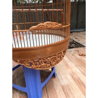 Lồng Đục Choè Than from cao (sz 42)