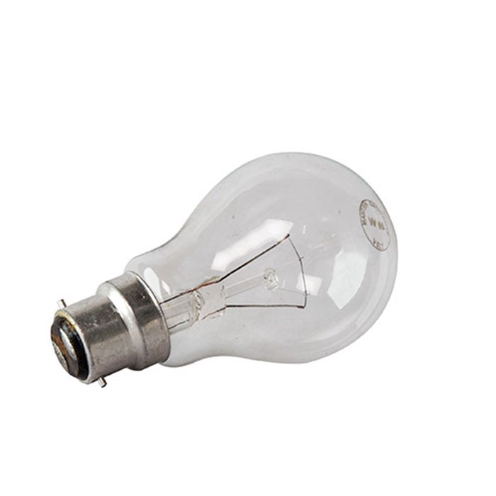 Bóng đèn sợi đốt ĐUI CÀI công suất 75 w 100w và 200w-Giadung24h